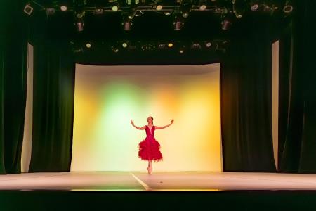 Območna revija plesnih skupin Finesa plesa 2024 (37)